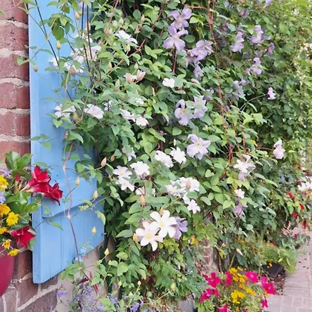 La Mare Aux Petits Diables *