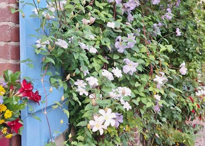 La Mare Aux Petits Diables *